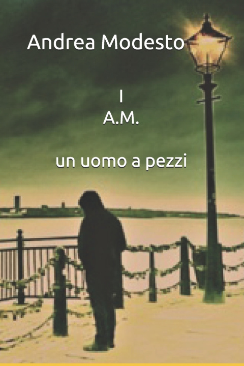 Kniha I A.M. Bogdan Licar
