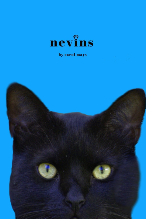Kniha Nevins Carol M Mays