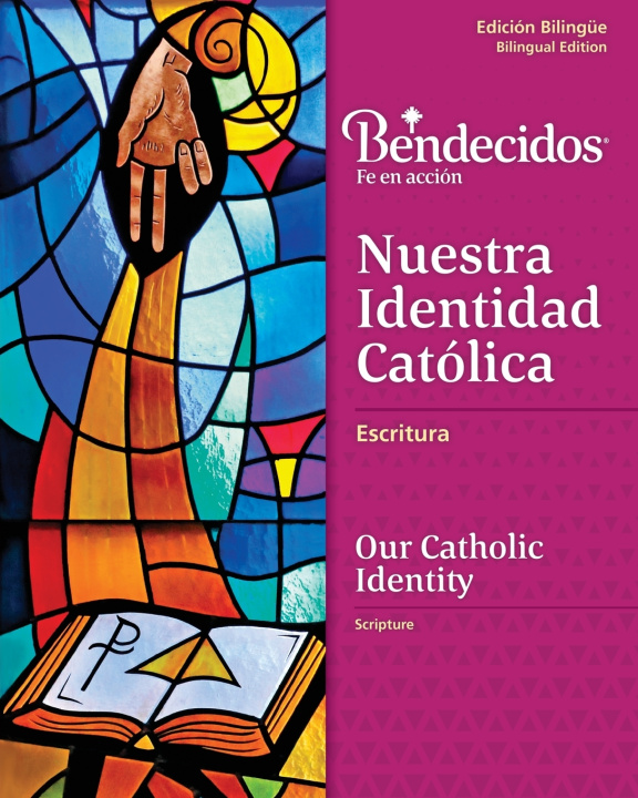Kniha OCI Level 7 Scripture BL Workbook RCL Benziger