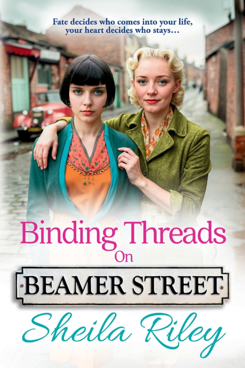 Kniha Binding Threads on Beamer Street Sheila Riley