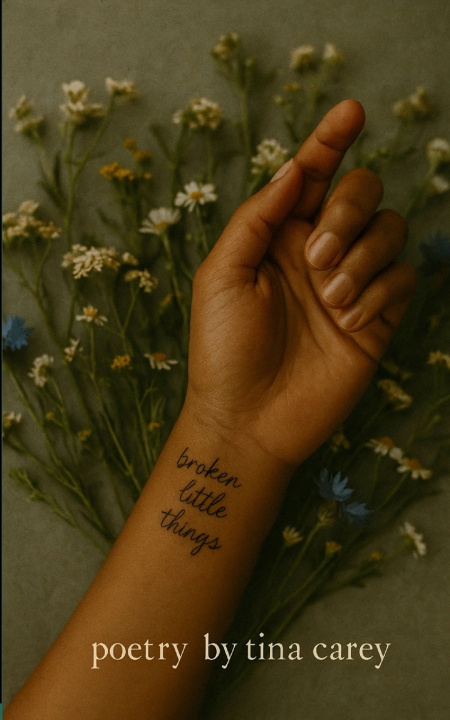 Kniha broken little things Tina Carey