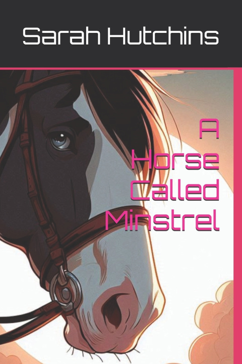 Buch A Horse Called Minstrel Sarah Hutchins