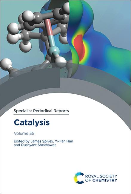 Boek Catalysis James J Spivey