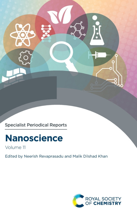 Kniha Nanoscience Neerish Revaprasadu