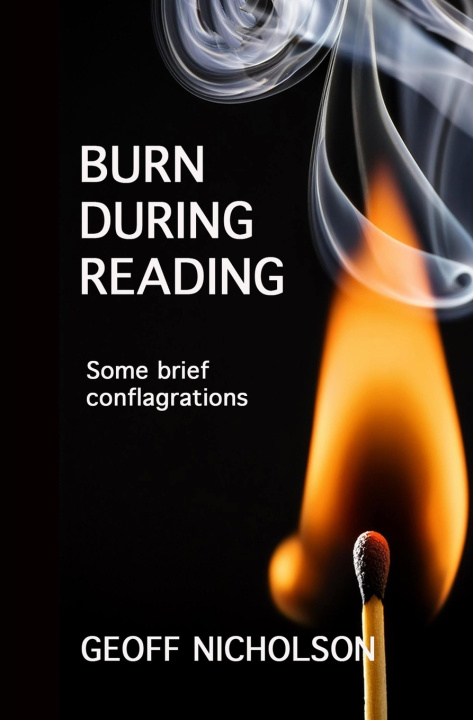 Buch Burn During Reading Geoff Nicholson