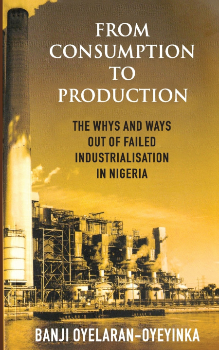 Kniha From Consumption to Production Banji Oyelaran-Oyeyinka