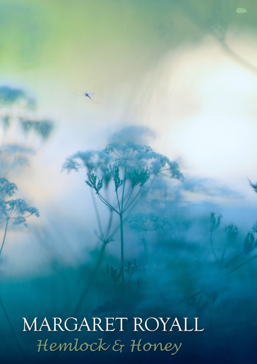 Kniha Hemlock & Honey Margaret Royall