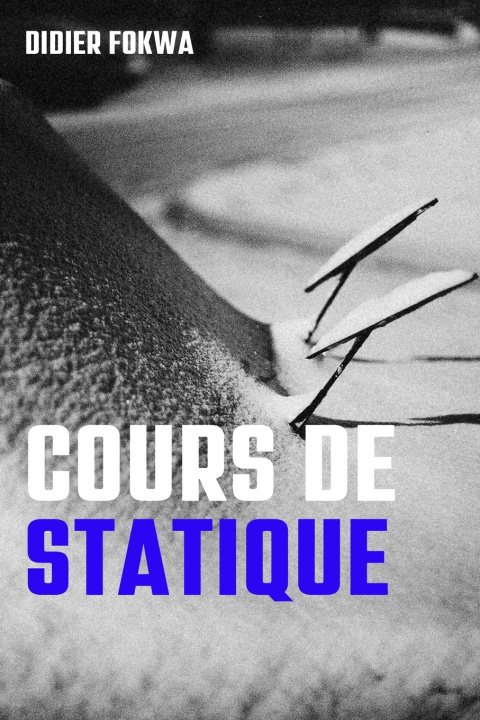 Kniha COURS DE STATIQUE FOKWA Didier