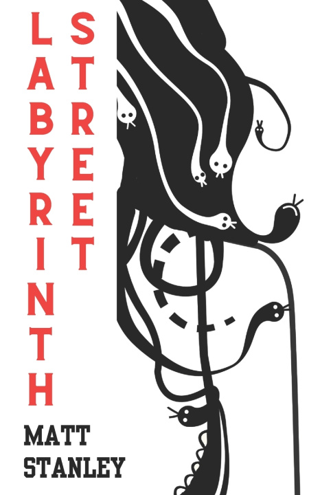 Kniha Labyrinth Street Matt Stanley Stanley