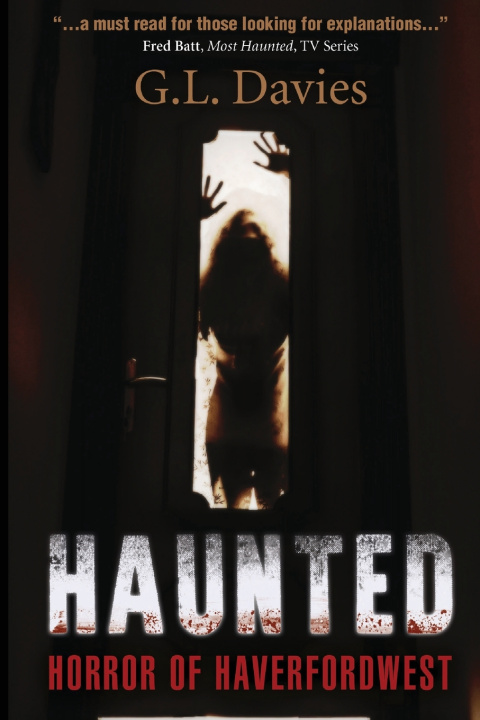 Kniha Haunted G.L Davies