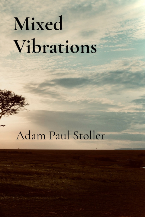 Kniha Mixed Vibrations Adam Paul Stoller