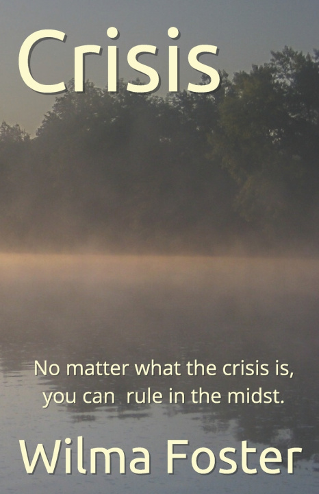 Knjiga Crisis Wilma C Foster