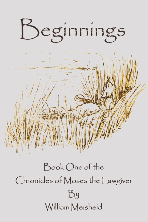 Книга Beginnings William George Meisheid