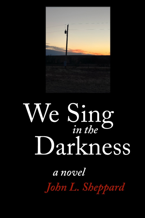 Книга We Sing in the Darkness John L Sheppard