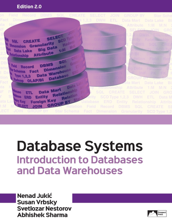 Knjiga Database Systems Nenad Jukic