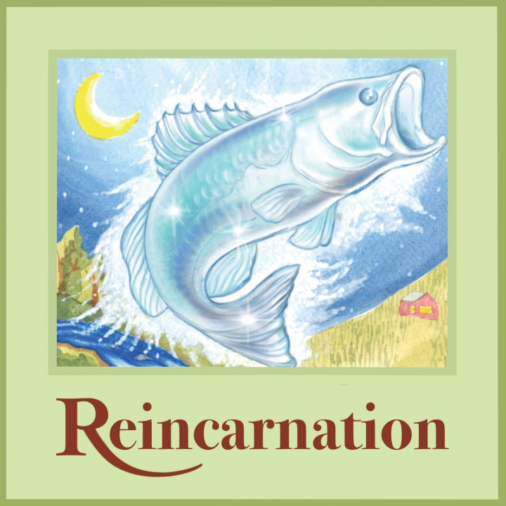 Knjiga Reincarnation Alex Daniell