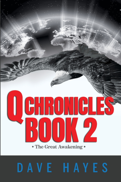 Kniha Q Chronicles Book 2 Dave Hayes