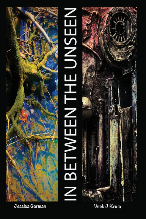 Knjiga InBetween The Unseen Jessica Gorman