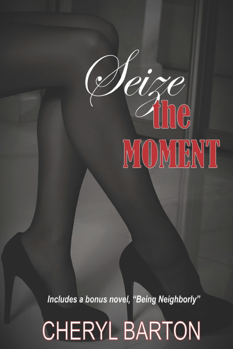 Knjiga Seize the Moment Cheryl Barton