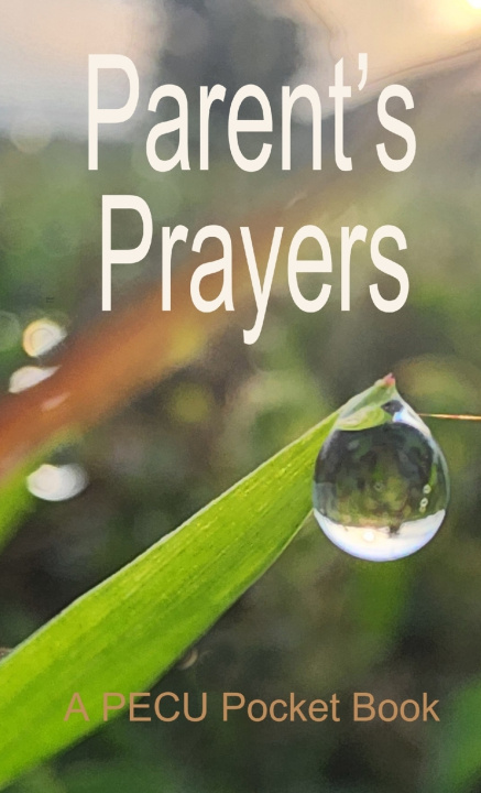 Knjiga Parent's Prayers Kathryn Lang
