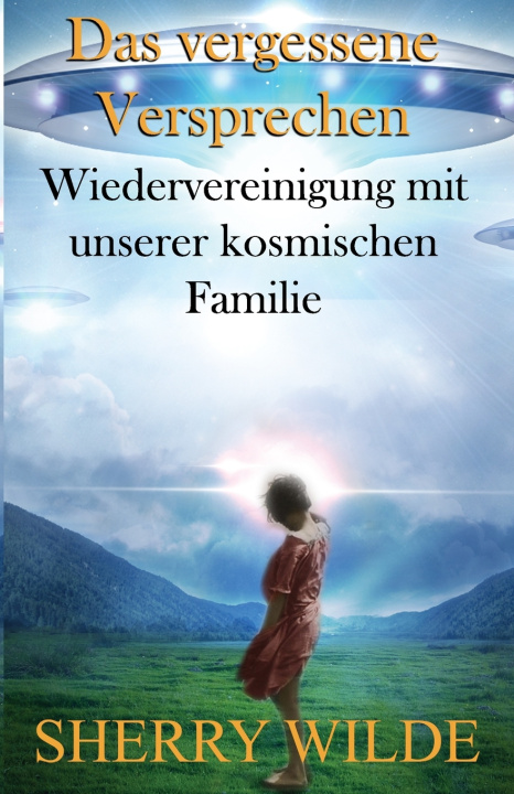 Kniha Das vergessene Versprechen Sherry Wilde