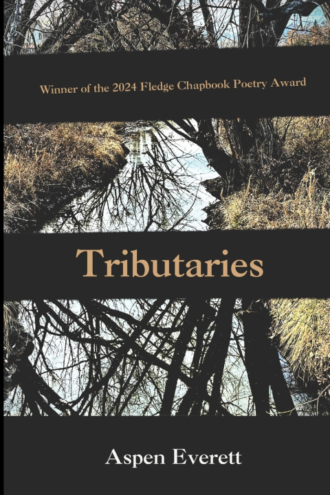 Kniha Tributaries Aspen Everett