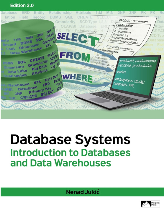 Knjiga Database Systems Nenad Jukic