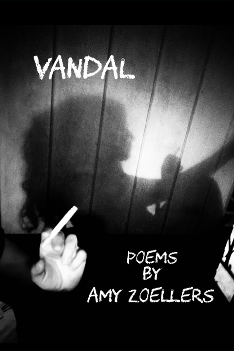 Kniha Vandal Amy Zoellers