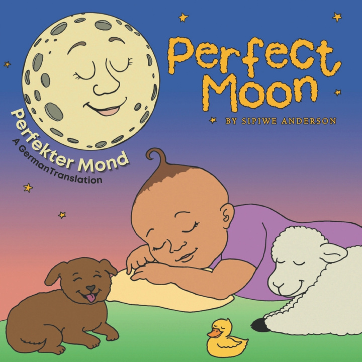 Buch Perfekter Mond Sipiwe Anderson