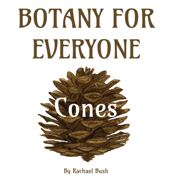 Kniha Botany for Everyone Rachael Bush