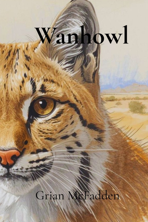 Kniha Wanhowl Grian McFadden