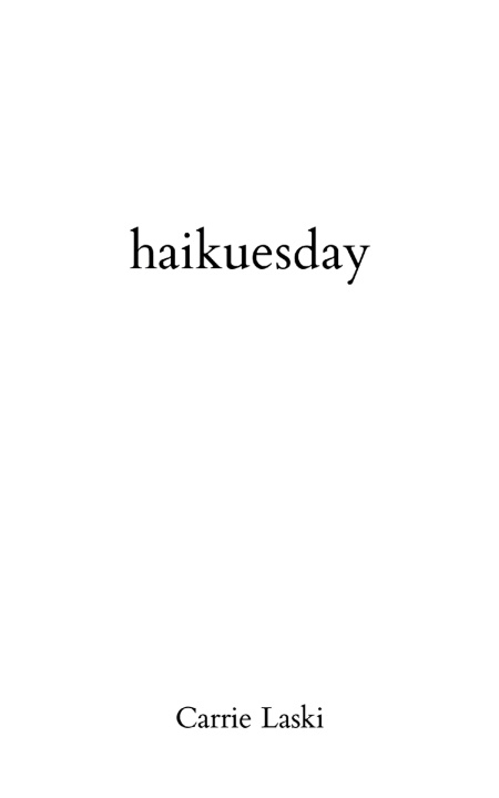 Knjiga haikuesday Carrie Laski