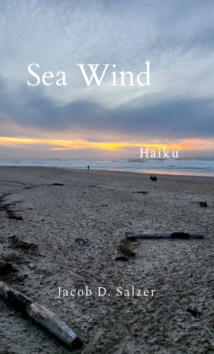 Book Sea Wind Jacob Salzer