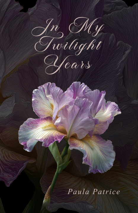 Kniha In My Twilight Years Paula Booth-Ellis
