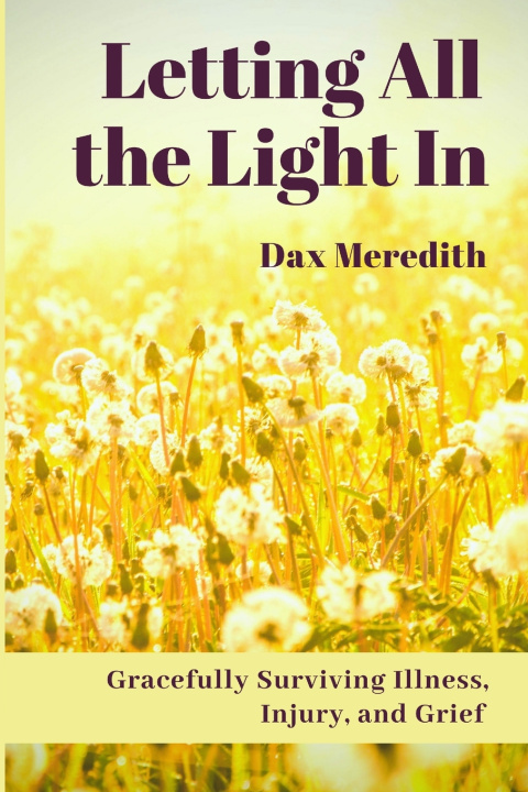Книга Letting All the Light In Dax Meredith