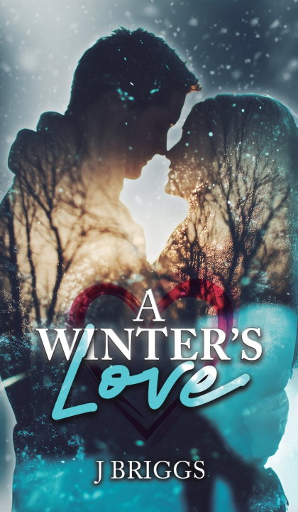 Knjiga A Winter's Love J Briggs