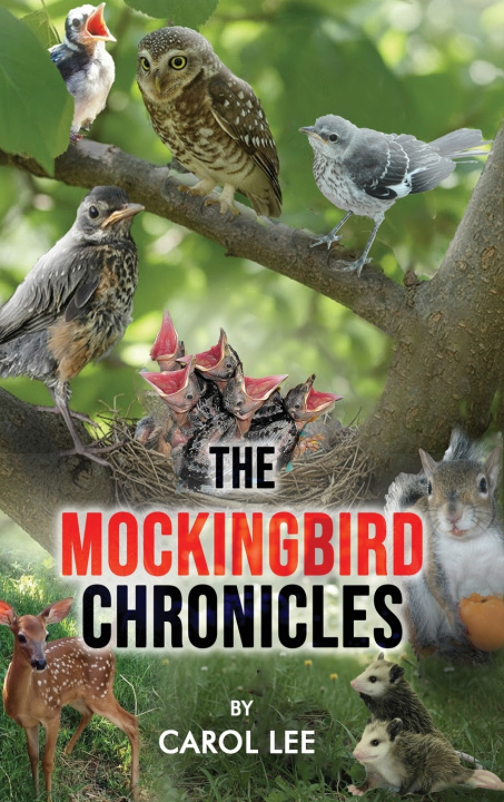 Kniha The Mockingbird Chronicles Carol Lee