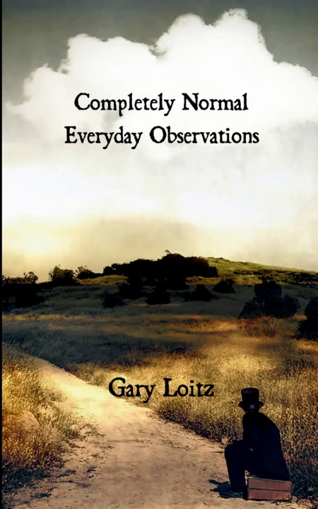 Книга Completely Normal Everyday Observations For Those In Need Gary Loitz