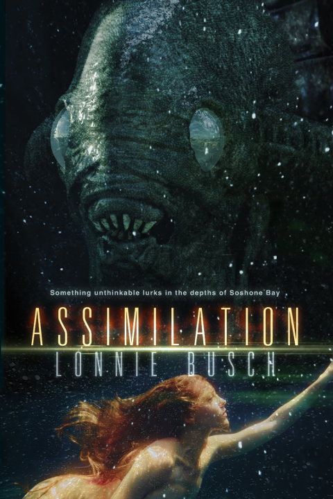 Knjiga Assimilation Lonnie Busch