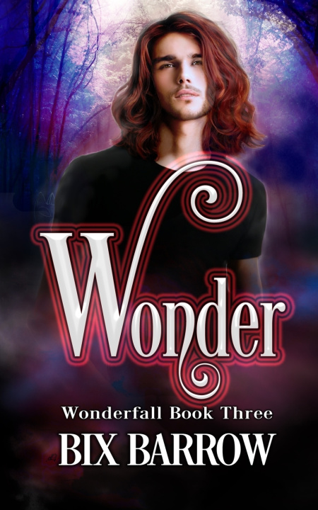 Kniha Wonder Bix Barrow