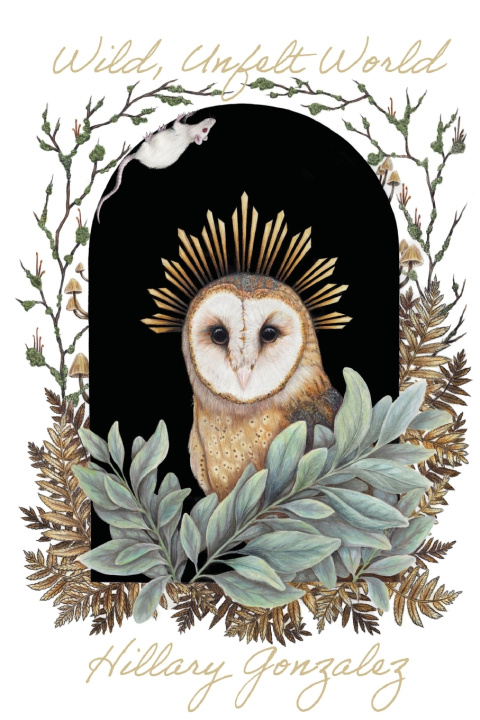 Knjiga Wild, Unfelt World Hillary Gonzalez