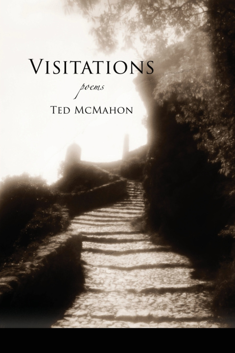 Kniha Visitations Ted McMahon