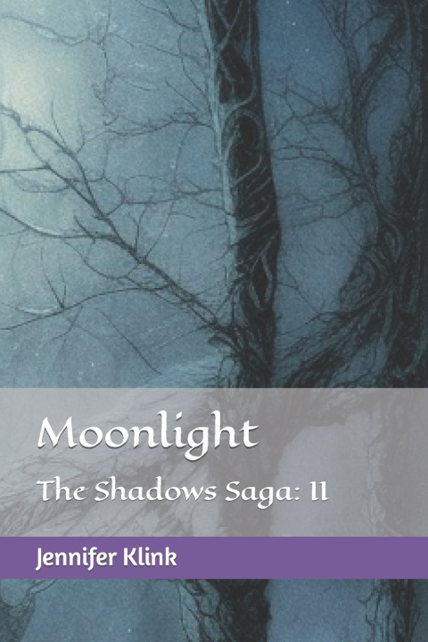 Kniha Moonlight Jennifer Klink