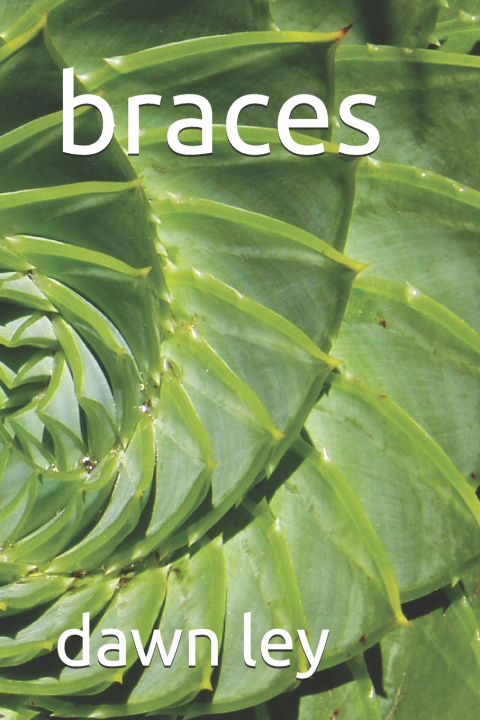 Книга braces dawn ley