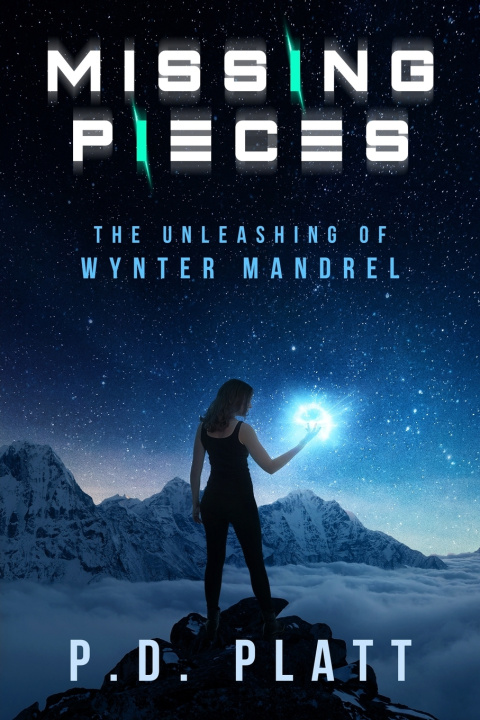 Kniha Missing Pieces P.D. Platt
