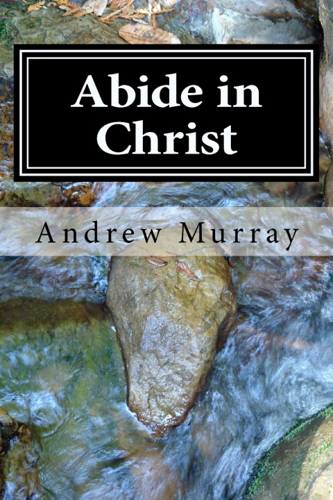 Книга Abide in Christ Andrew Murray