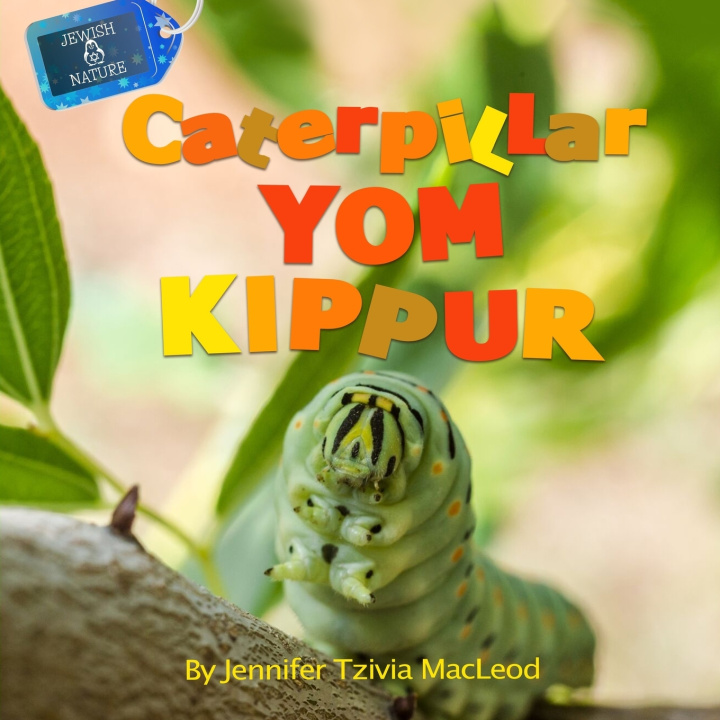 Libro Caterpillar Yom Kippur Jennifer Tzivia MacLeod