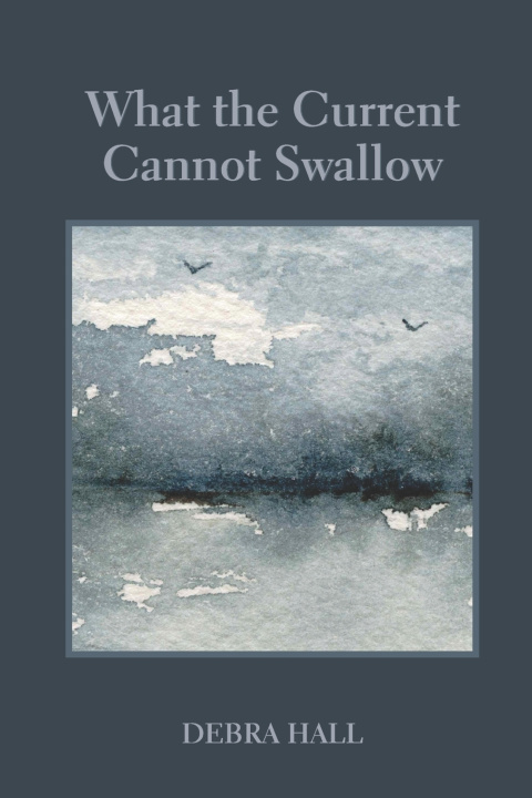 Kniha What the Current Cannot Swallow Mary Simmerling