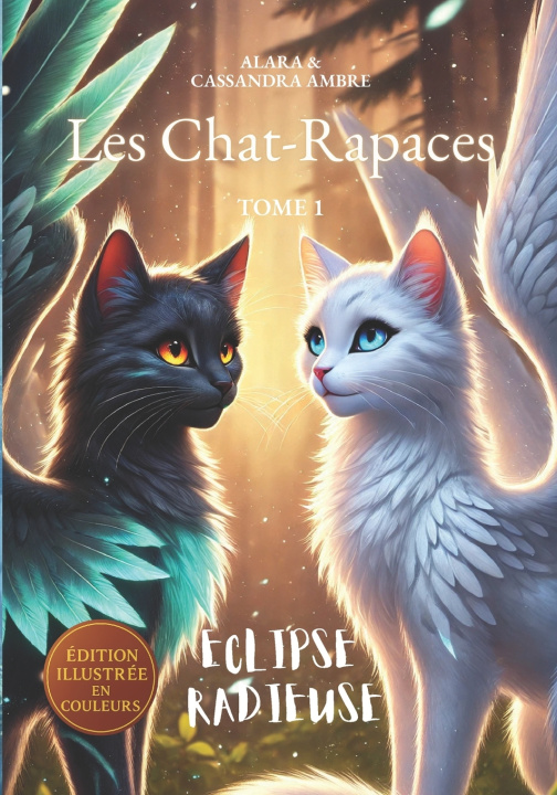 Kniha Éclipse Radieuse Alara Ambre