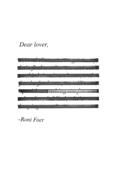 Kniha Dear Lover Lea Scheidt